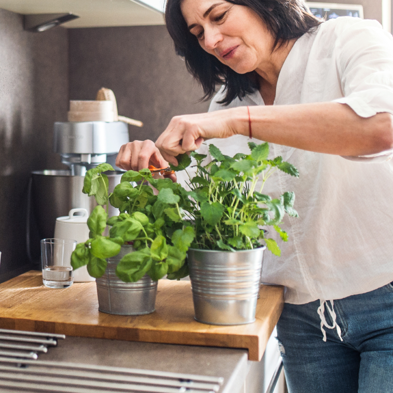 Žena stříhá v kuchyni bylinky