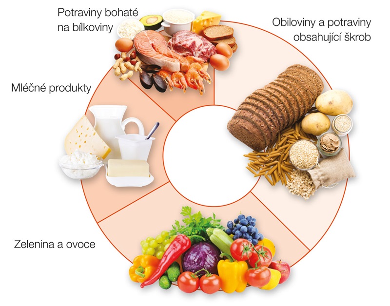 Kruh potravin pro vyváženou stravu